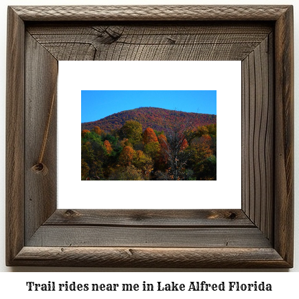 trail rides near me in Lake Alfred, Florida